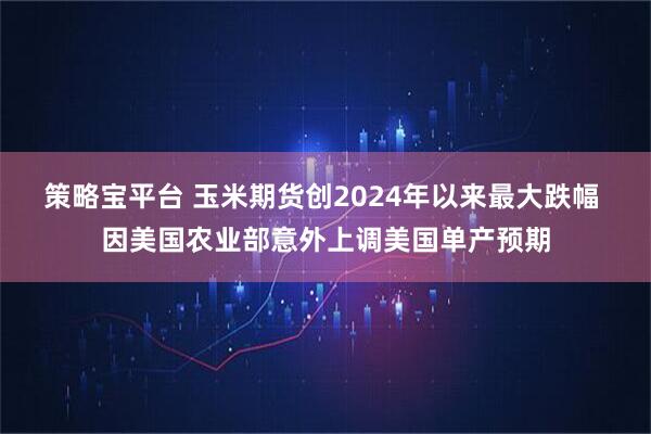 策略宝平台 玉米期货创2024年以来最大跌幅 因美国农业部意外上调美国单产预期