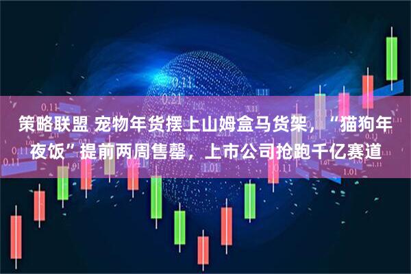 策略联盟 宠物年货摆上山姆盒马货架，“猫狗年夜饭”提前两周售罄，上市公司抢跑千亿赛道